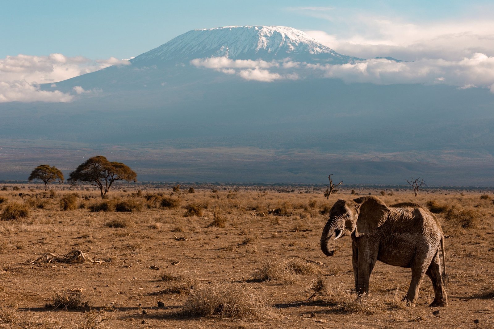 Kenya & Tanzania Cross-Border Safari