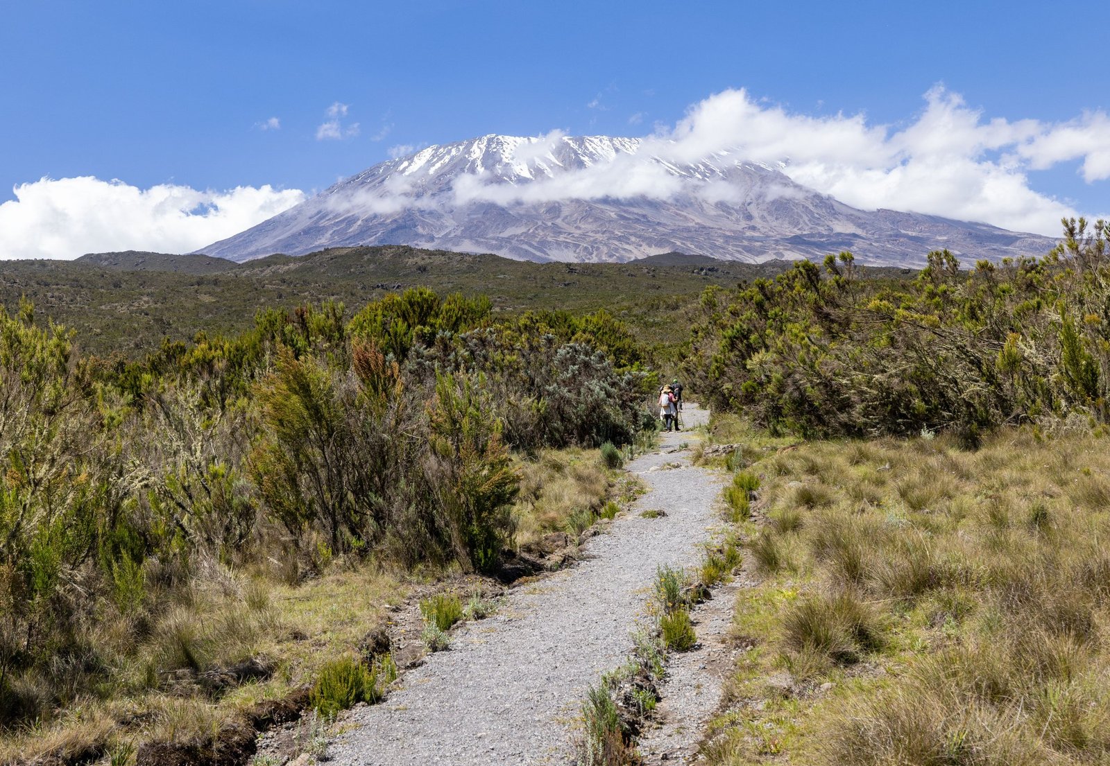 Kilimanjaro Lemosho Trek