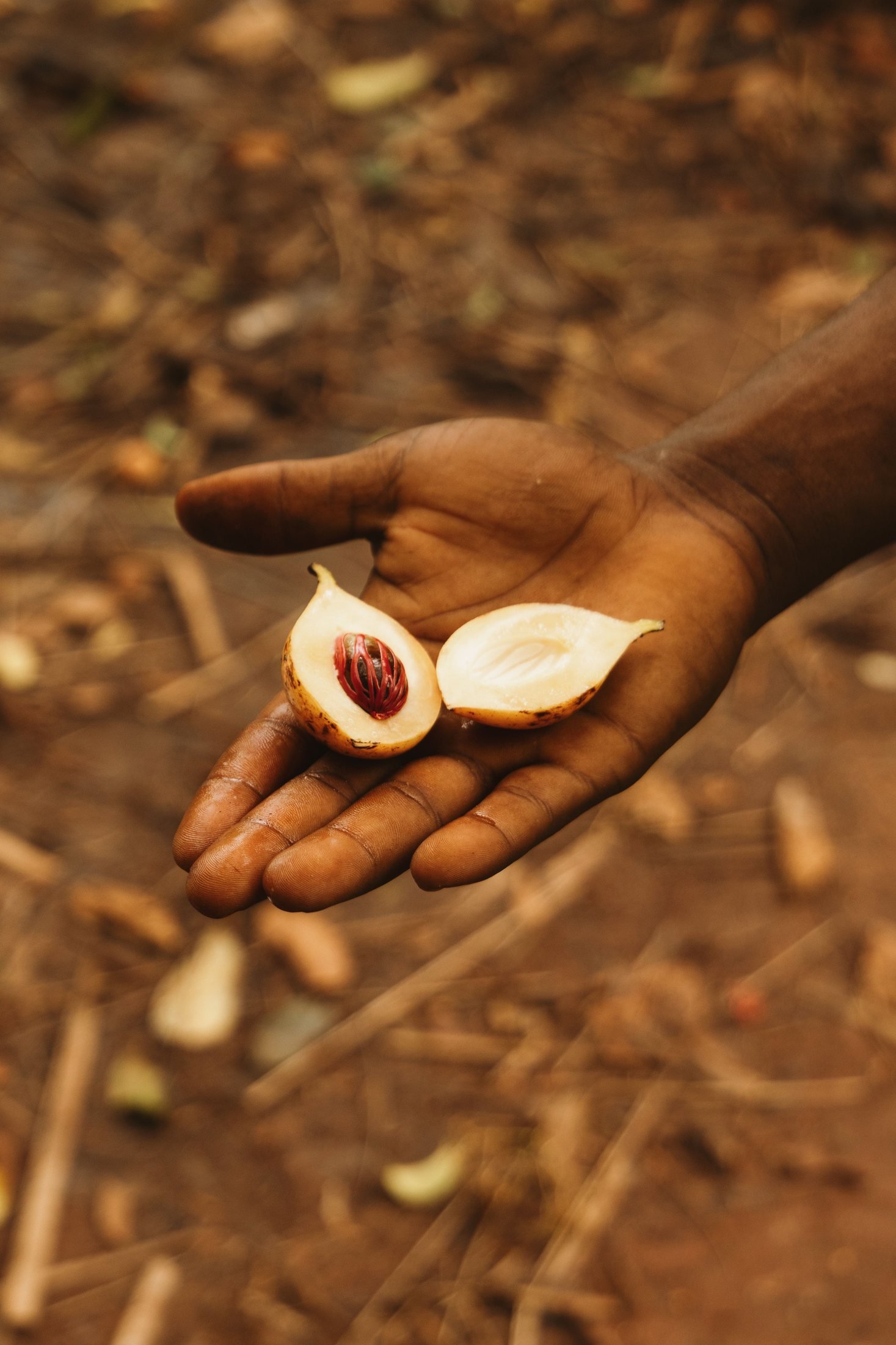 Zanzibar Spice Farm & Swahili Table